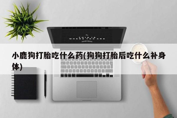 打胎药如何购买小鹿狗打胎吃什么药(狗狗打胎后吃什么补身体)