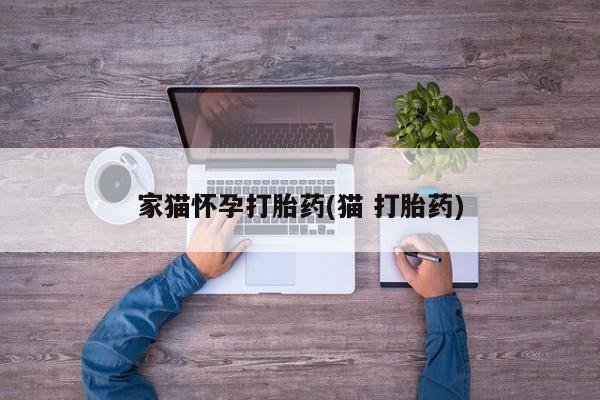 打胎药如何购买家猫怀孕打胎药(猫 打胎药)